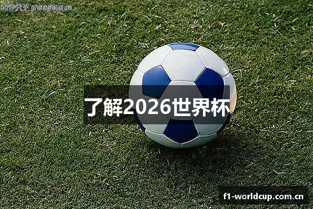 了解2026世界杯